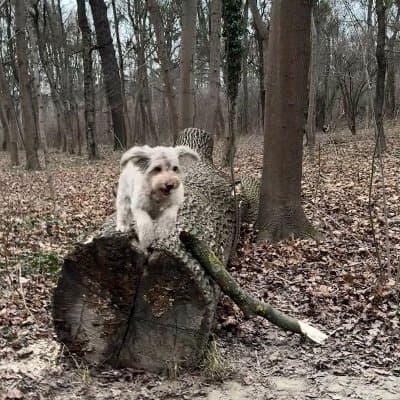 Anita Posch — Bitcoin educator featured on Bitcoin.diy